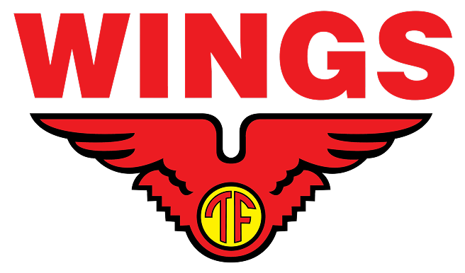 Wings_(Indonesian_company)_logo 1